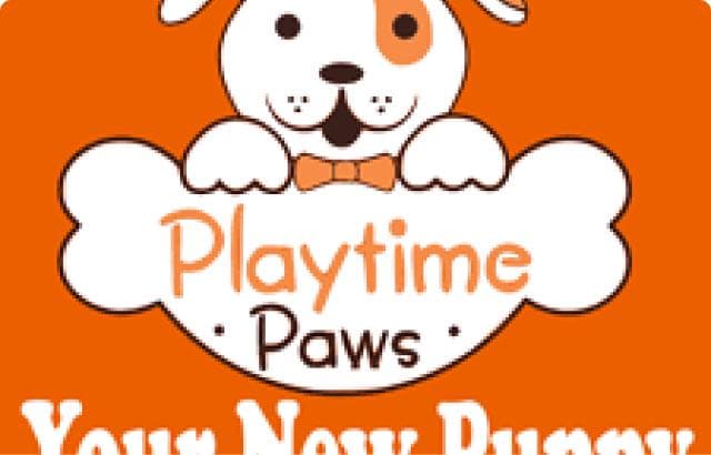 Podcasty - Playtime Paws